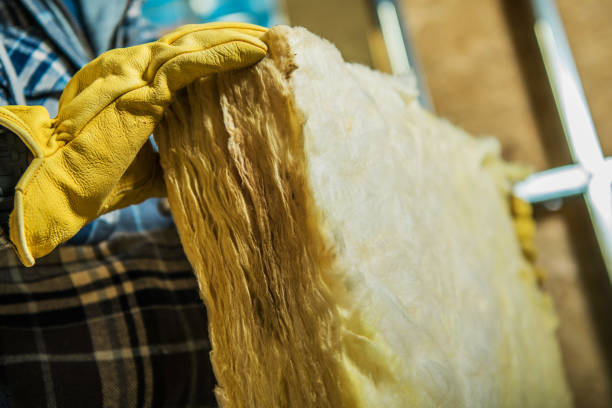 Best Specialty Insulation in Loma Linda, CA